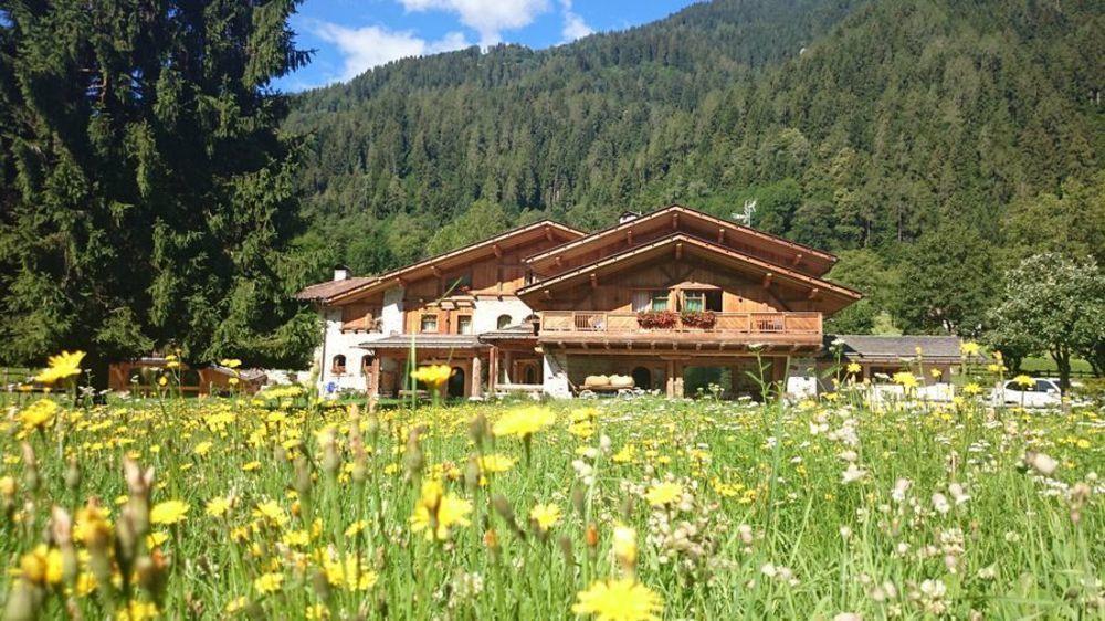 Hotel Maso Del Brenta Caderzone Exteriör bild